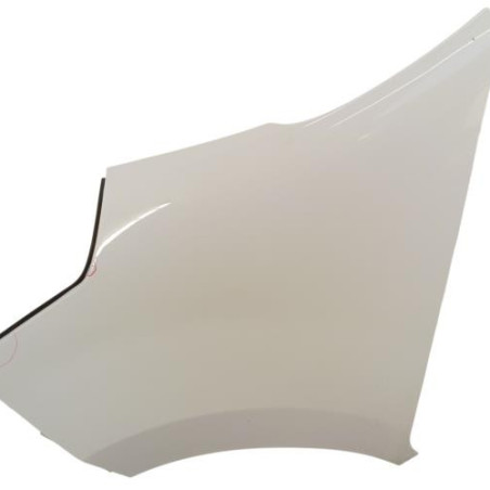 Aile avant gauche RENAULT MASTER 3 Photo n°1