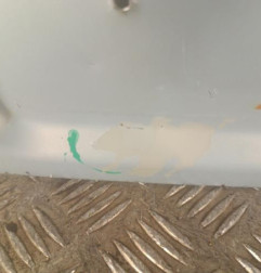 Malle/Hayon arriere RENAULT TWINGO 1