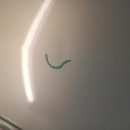 Porte avant gauche RENAULT TWINGO 1