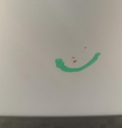 Porte avant gauche RENAULT TWINGO 1 Photo n°4