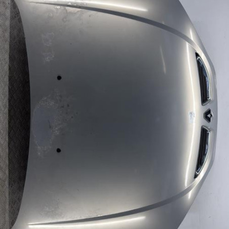 Capot RENAULT MEGANE 1 Photo n°1