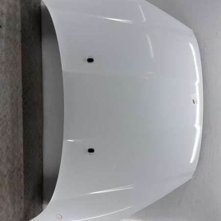 Capot FORD FIESTA 6 Photo n°1