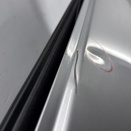 Porte avant gauche RENAULT CLIO 4