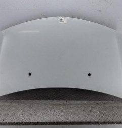 Capot RENAULT CLIO 3 Photo n°1