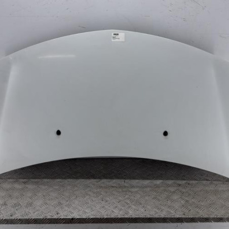 Capot RENAULT CLIO 3 Photo n°1