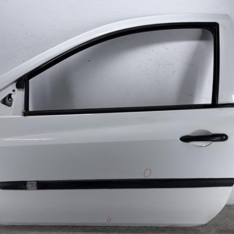 Porte avant gauche RENAULT CLIO 3
