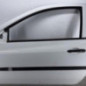 Porte avant gauche RENAULT CLIO 3