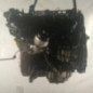 Moteur OPEL MERIVA B