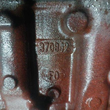 Moteur RENAULT KANGOO 1