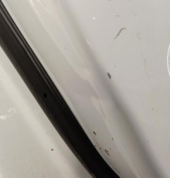 Porte avant gauche RENAULT KADJAR Photo n°6