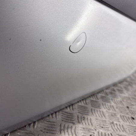 Porte avant droit RENAULT CLIO 3