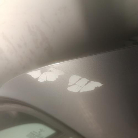 Porte arriere gauche PEUGEOT 208 2