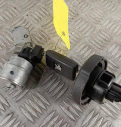 Neiman PEUGEOT 308 1