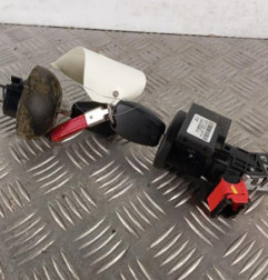 Neiman DACIA SANDERO 2 Photo n°1