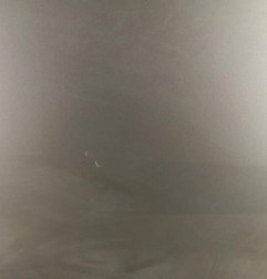 Porte avant droit RENAULT GRAND SCENIC 3 Photo n°4