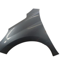 Aile avant gauche PEUGEOT 207 Photo n°1