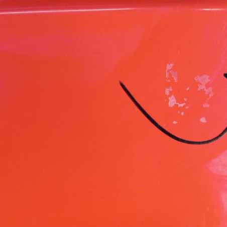 Porte avant gauche RENAULT TWINGO 2