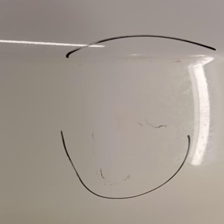 Porte avant droit BMW SERIE 1 E87 Photo n°1