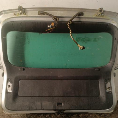 Malle/Hayon arriere VOLKSWAGEN TIGUAN 1