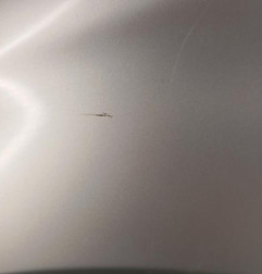 Aile avant gauche PEUGEOT 208 1