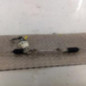 Cremaillere assistee RENAULT CLIO 3