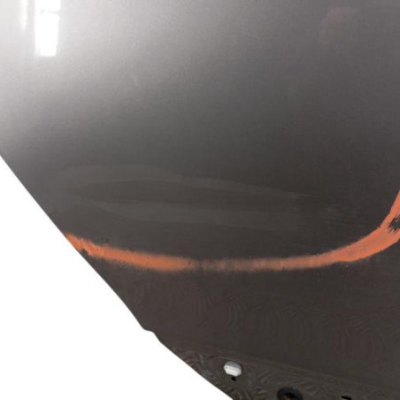 Porte arriere droit RENAULT SCENIC 3