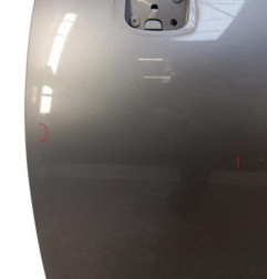 Porte avant gauche RENAULT SCENIC 3 Photo n°3