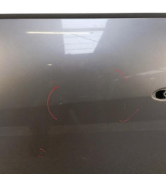 Porte avant gauche RENAULT SCENIC 3 Photo n°4