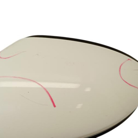 Retroviseur gauche RENAULT CLIO 5