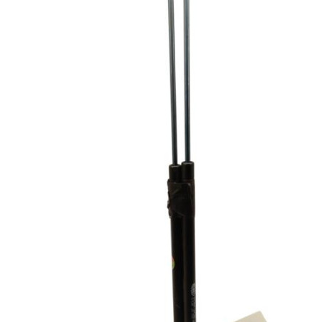 Verin de coffre CITROEN C4 1