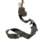 Ceinture avant droit RENAULT CLIO 2