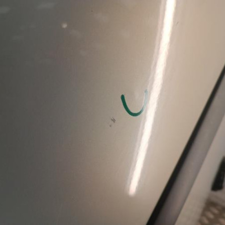 Porte arriere droit RENAULT MODUS