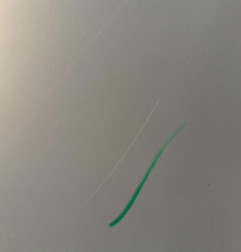 Porte arriere droit RENAULT MODUS Photo n°4