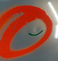 Porte avant droit RENAULT MODUS