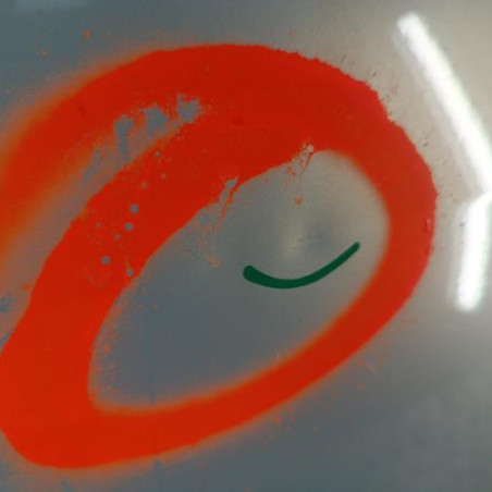 Porte avant droit RENAULT MODUS