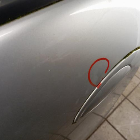 Porte arriere gauche CITROEN C5 1