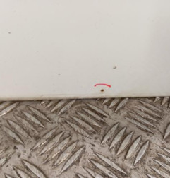 Porte avant gauche RENAULT MEGANE 2 Photo n°5