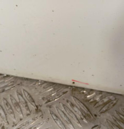 Porte avant gauche RENAULT MEGANE 2 Photo n°6