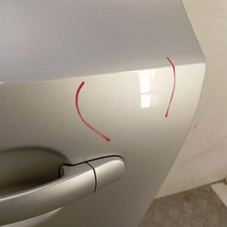 Porte arriere gauche VOLKSWAGEN POLO 5