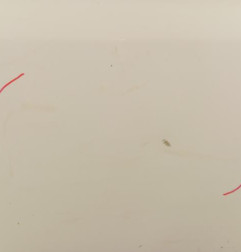 Porte laterale droit FIAT DUCATO 3 Photo n°5