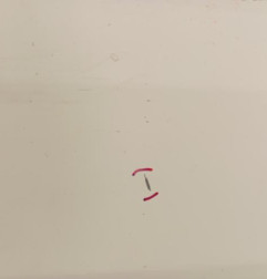 Porte avant droit FIAT DUCATO 3 Photo n°4