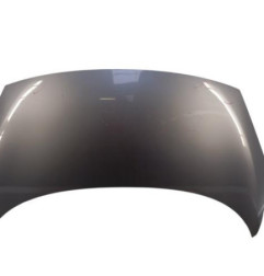 Capot RENAULT SCENIC 3 Photo n°1