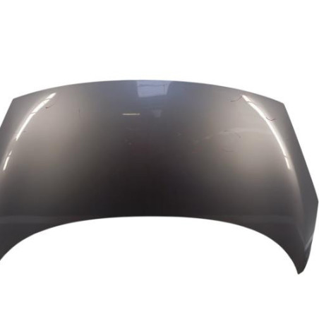 Capot RENAULT SCENIC 3 Photo n°1