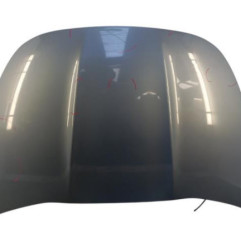 Capot CITROEN DS5 Photo n°1