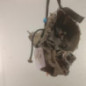 Boite de vitesses RENAULT TWINGO 2