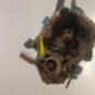 Boite de vitesses RENAULT CLIO 2
