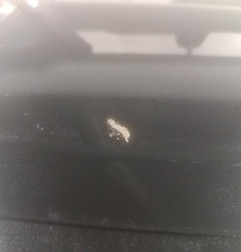 Pare choc avant OPEL COMBO C Photo n°3