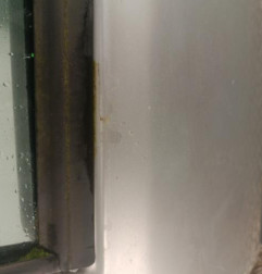 Porte arriere gauche FORD FIESTA 4 Photo n°8