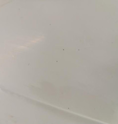 Aile avant gauche RENAULT SCENIC 1