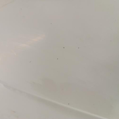 Aile avant gauche RENAULT SCENIC 1